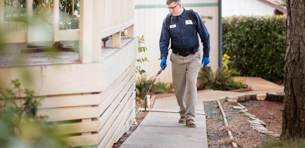 Pest Control Insurance Graves Insurance Group Pest Control Insurance Graves Insurance Group